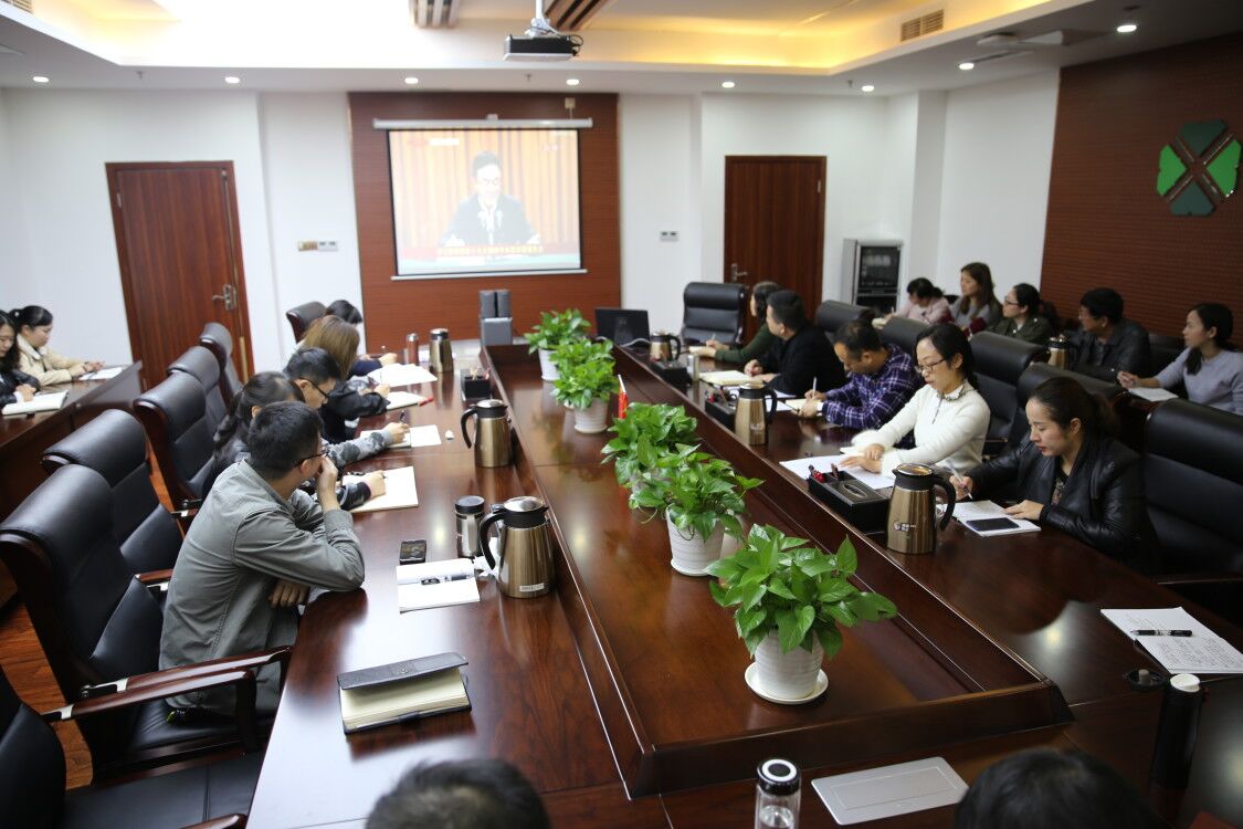 西南醫投組織集中收看學習貫徹黨的 十九大精神中央宣講團來川宣講報告會實況