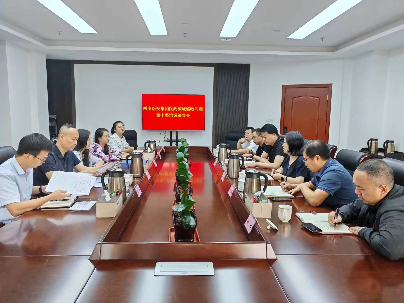 市紀委監(jiān)委駐市國資委紀檢監(jiān)察組赴西南醫(yī)投集團開展醫(yī)藥領(lǐng)域腐敗問題集中整治調(diào)研督查